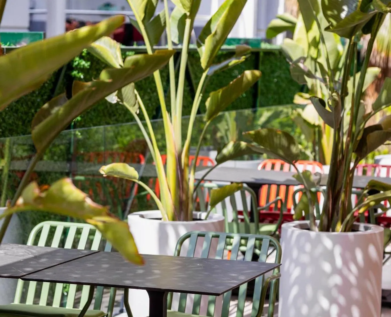 Luff Living - Adult Only 12 Plus Antalya Hotel